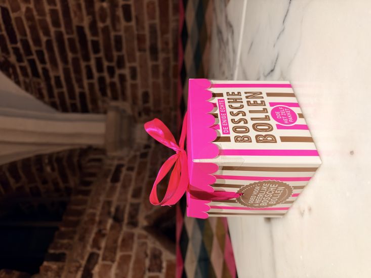 DOE HET ZELF PAKKET BOSSCHE BOLLEN