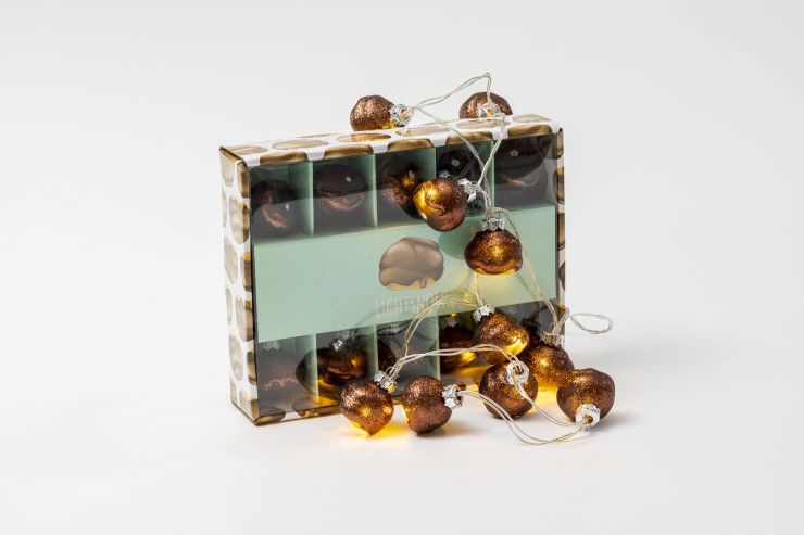 LICHTSNOER BOSSCHE BOL